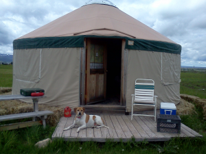 John Drew's dog, Holli, lying in front of NOLS Teton Valley yurt.