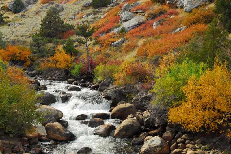 Autumn colors along the Popo Agie River near Lander, Wyoming