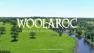 Woolaroc logo